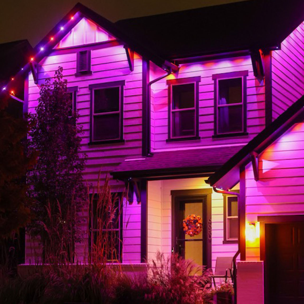 Roofline holiday lights
