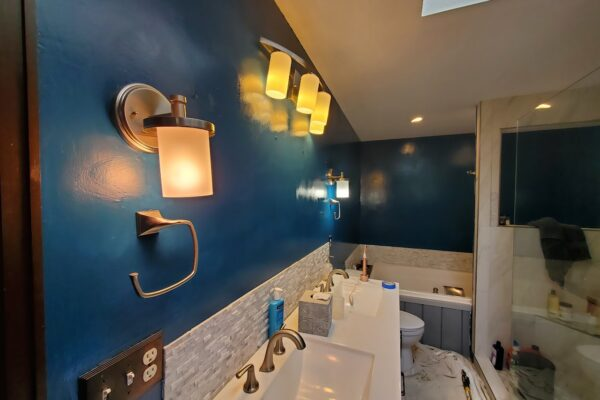 Denver interior bathroom with deep blue walls